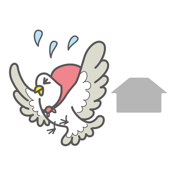 長野初、鳥害対策！！の画像